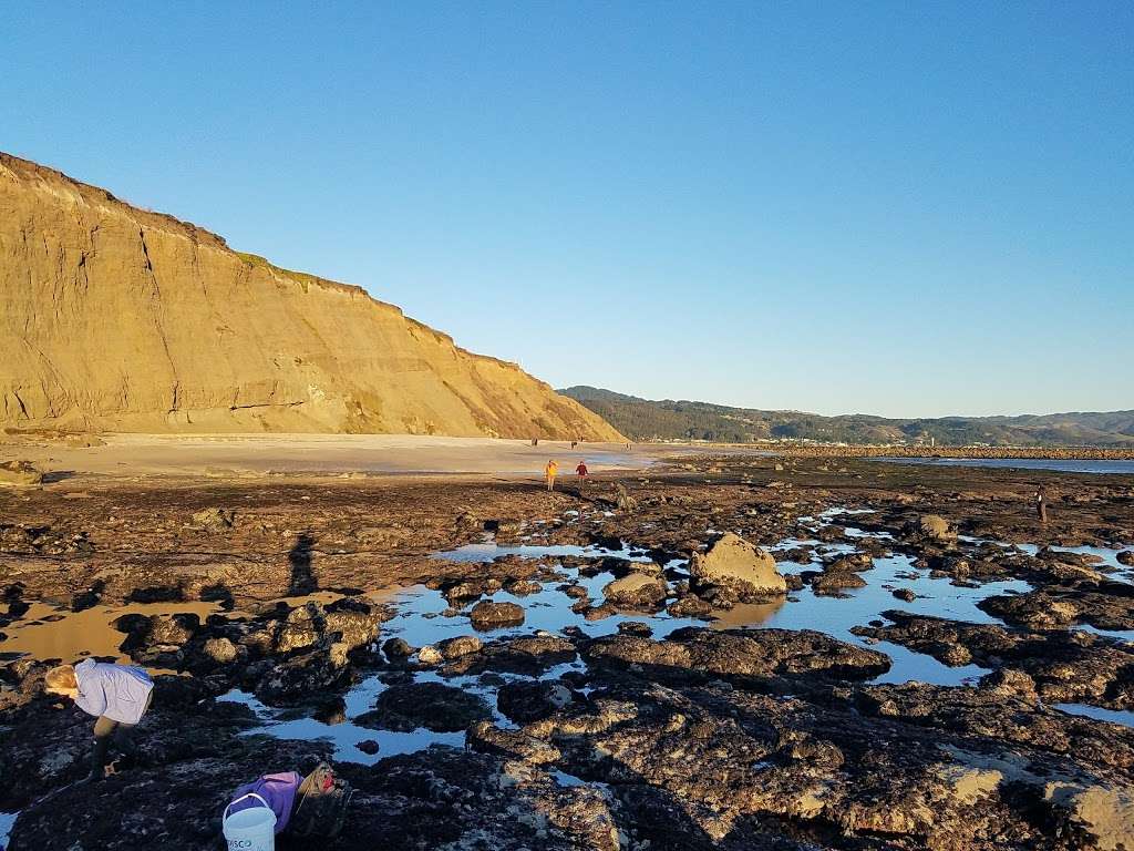 Pillar Point Bluff Parking Lot | Airport St, Moss Beach, CA 94038