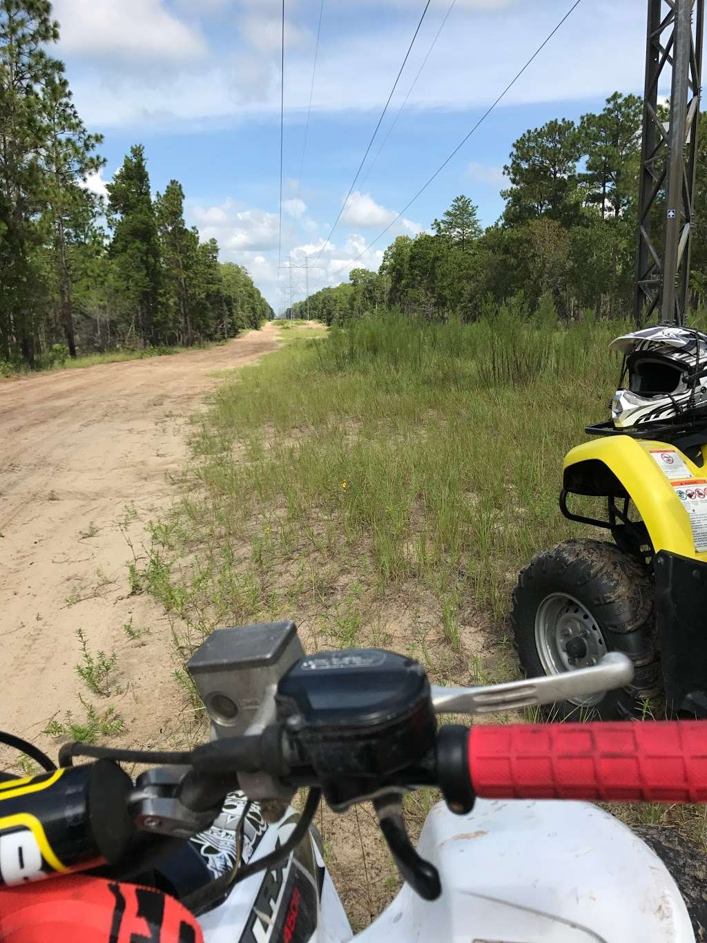 Wandering Wiregrass OHV Trailhead | 48816-49524 County Rd 445, Altoona, FL 32702, USA | Phone: (850) 523-8500