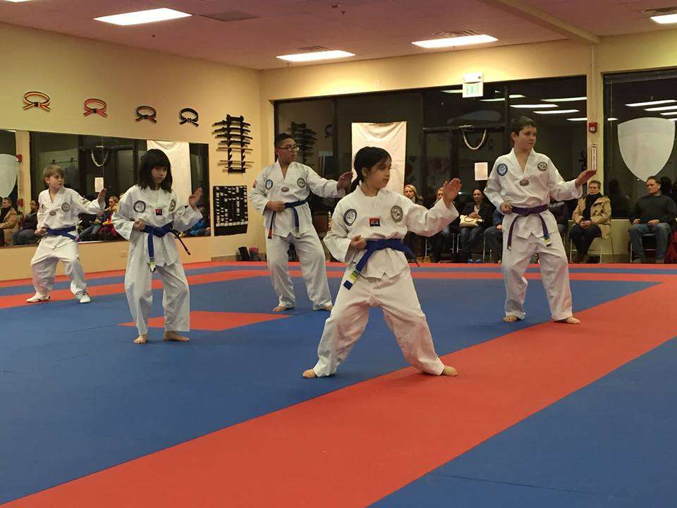 Tiger Koos Martial Arts - TaeKwonDo | 1465 Palatine Rd, Hoffman Estates, IL 60192 | Phone: (847) 776-0077