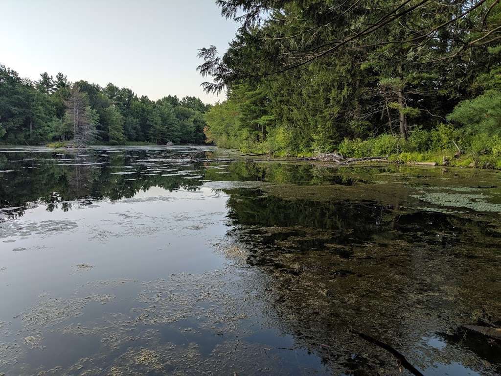 Bowers Springs Parking Lot | 44 Flanagan Rd, Bolton, MA 01740, USA