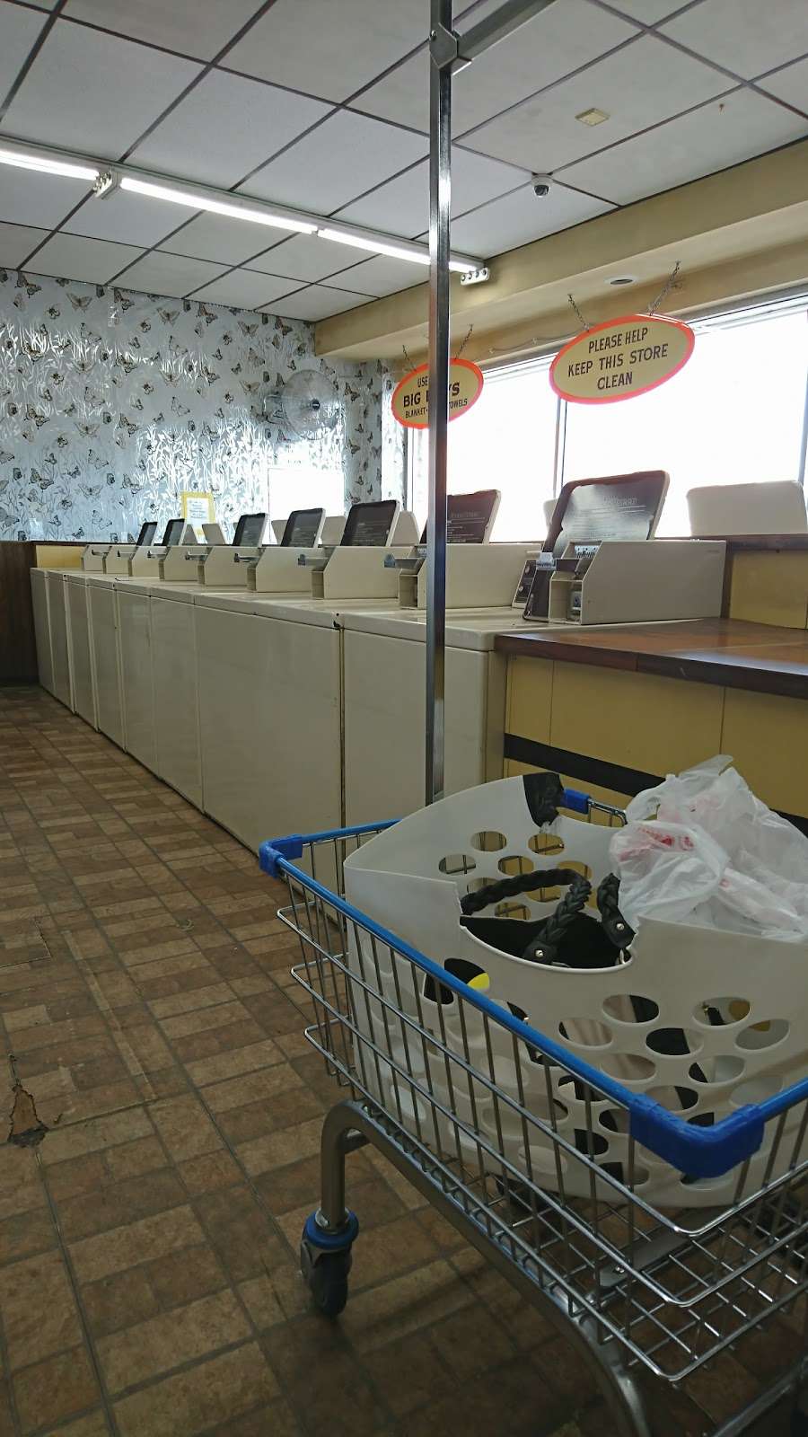 Coin Laundry | 4030 Oakton St, Skokie, IL 60076, USA