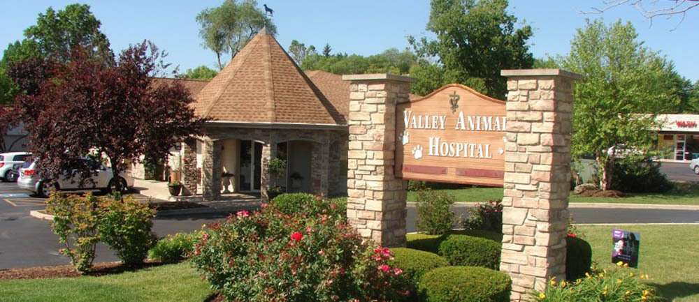 Valley Animal Hospital | 810 E State St, Geneva, IL 60134 | Phone: (630) 326-4677