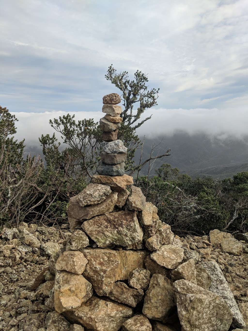 Montara Mountain | Gray Whale Cove Trail, Pacifica, CA 94044, USA