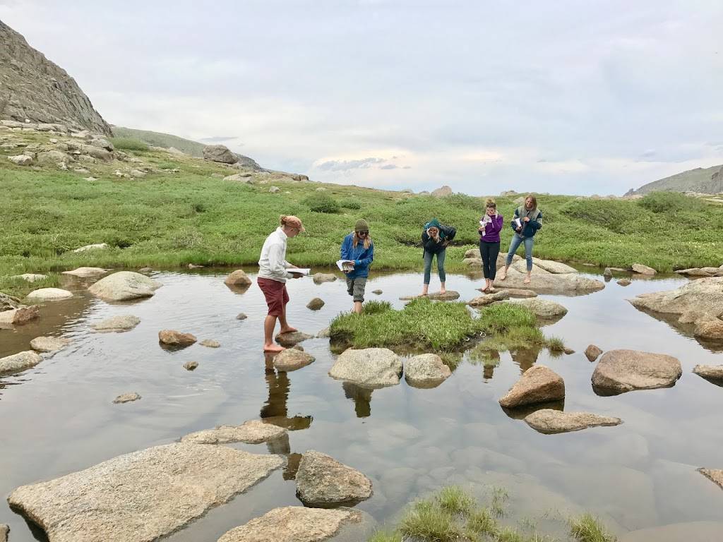 Mountain Herbalism | 6650 W 44th Ave, Denver, CO 80033, USA | Phone: (530) 304-1626