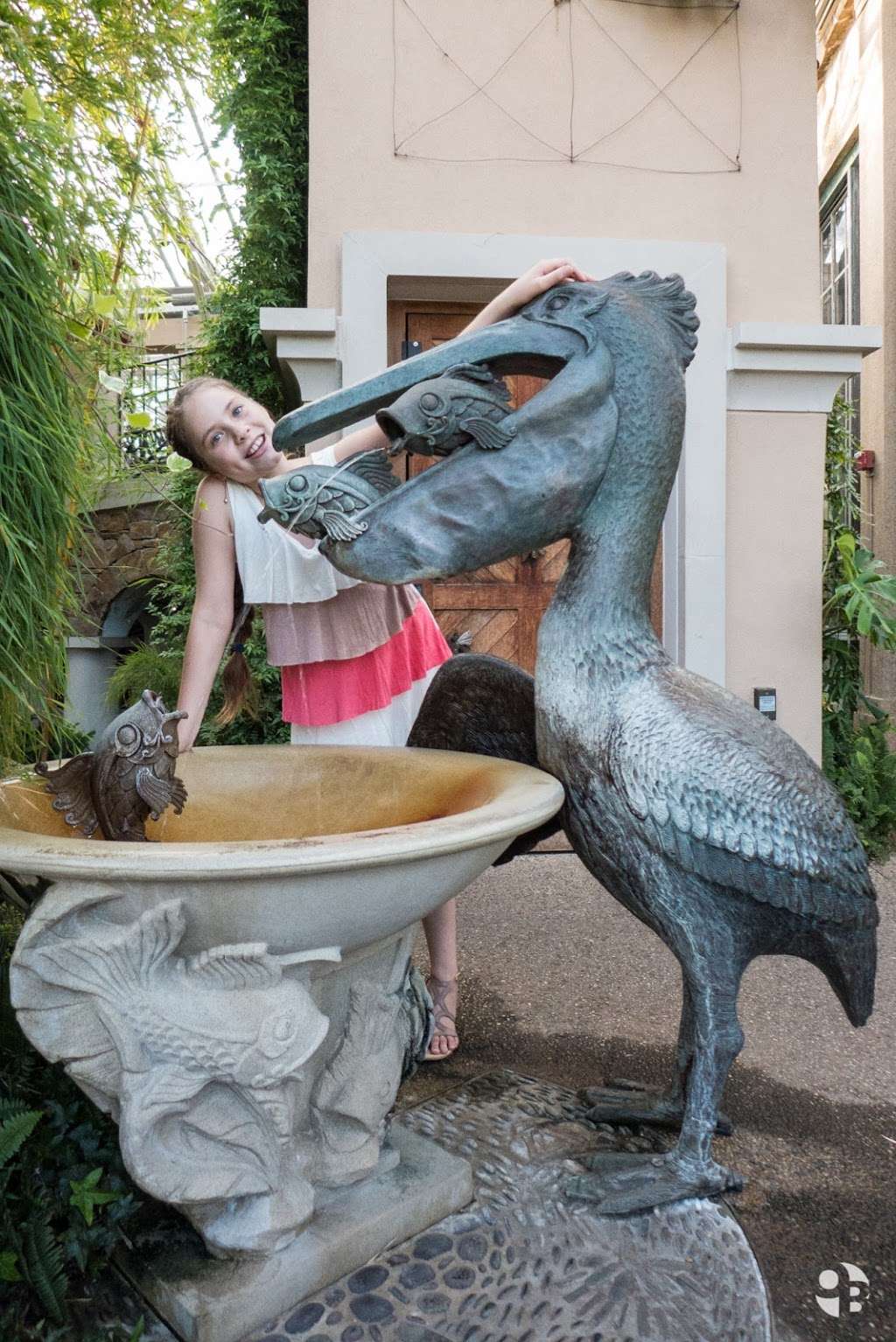 Conservatory | 19348,, Kennett Square, PA 19348, USA