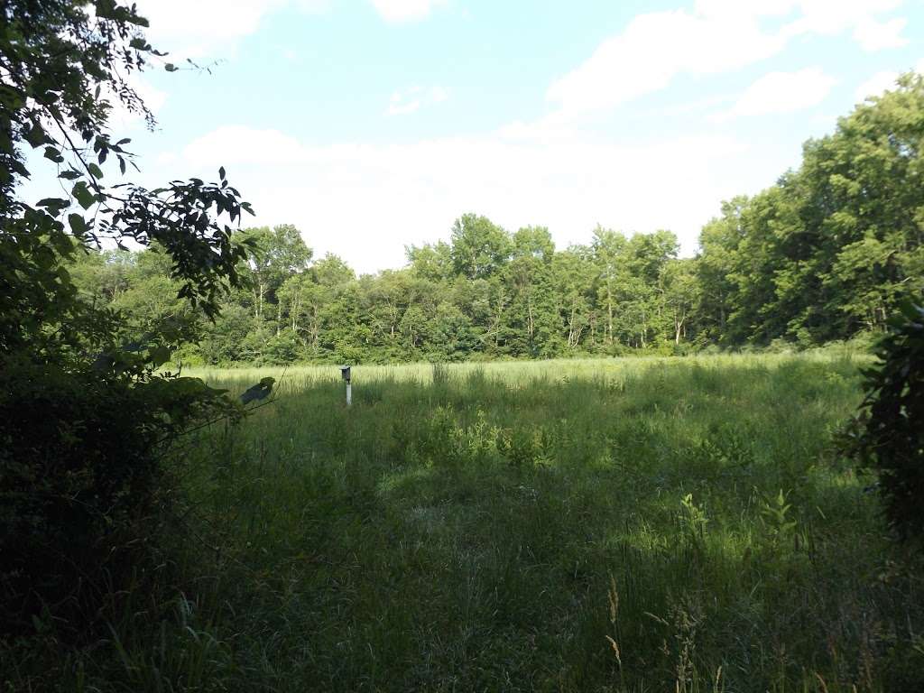 Willow Oak Natural Area | E Landis Ave, Vineland, NJ 08361, USA | Phone: (856) 794-4000