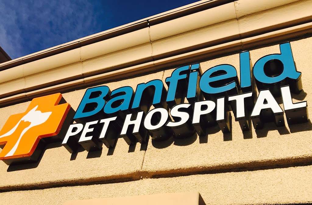 Banfield Pet Hospital | 26586 Bouquet Canyon Rd, Santa Clarita, CA 91350 | Phone: (661) 263-3126