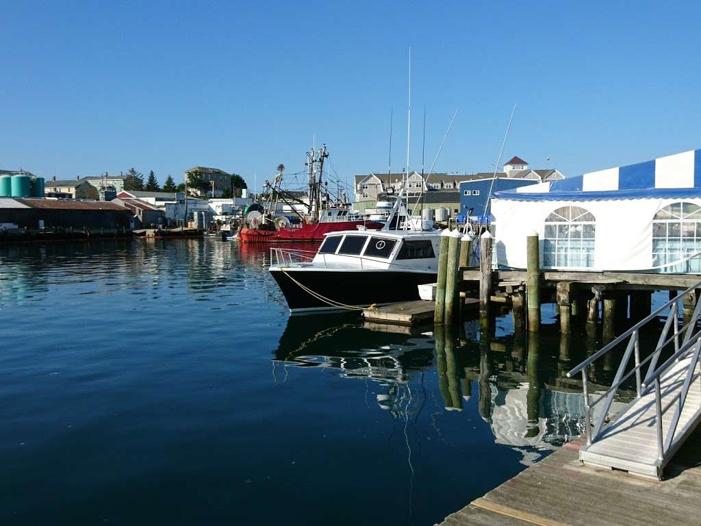 7 Seas Whale Watch | 63 Rogers St, Gloucester, MA 01930, USA | Phone: (978) 283-1776