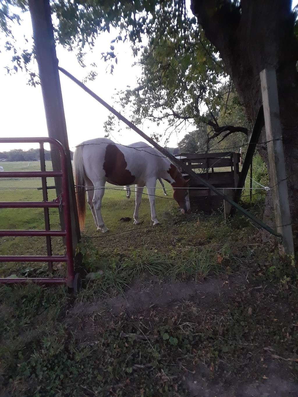 Phantom Ranch | W309 S10910 County Road I, Mukwonago, WI 53149, USA | Phone: (262) 363-6940