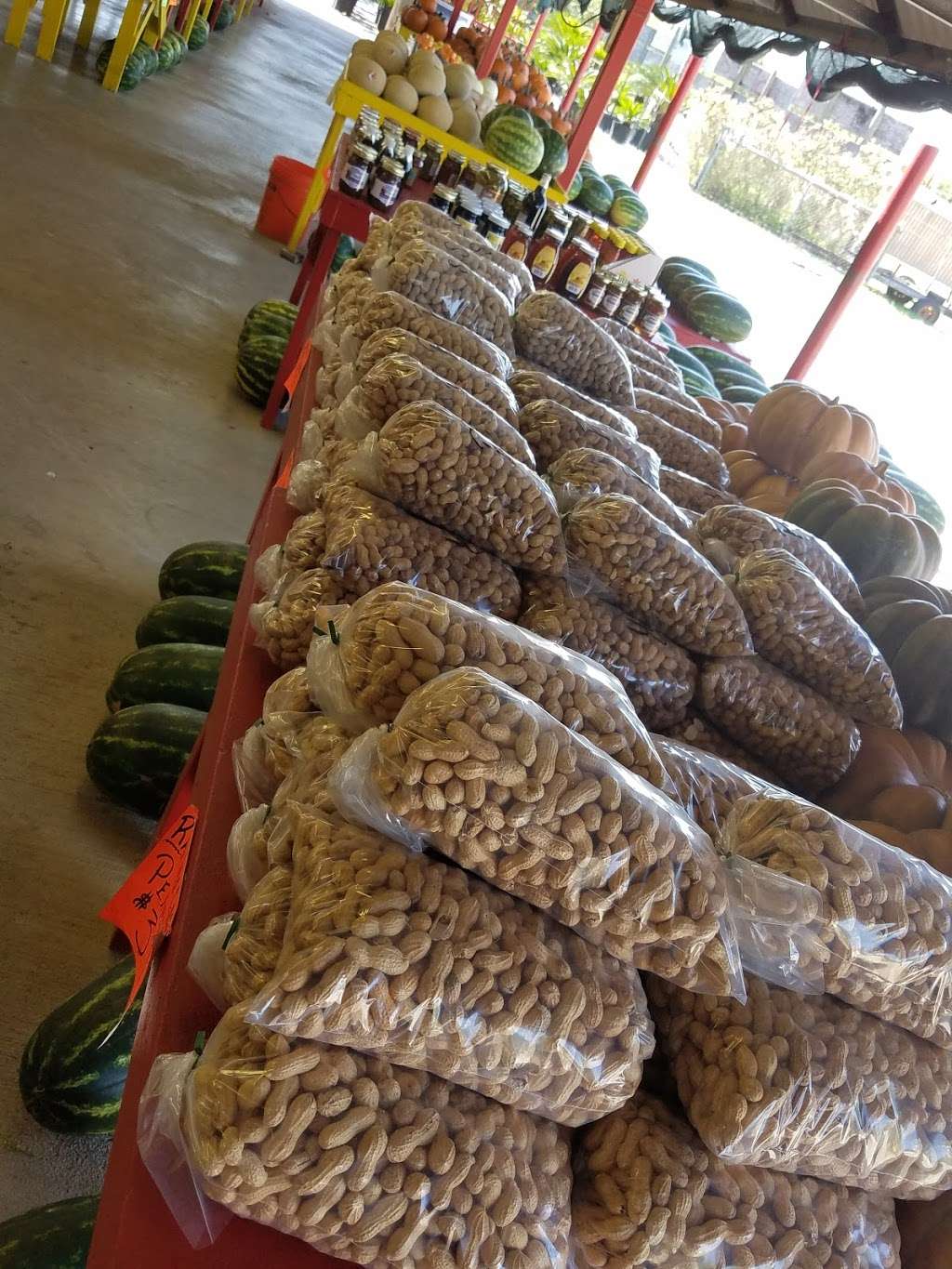 Batys Fruitstand & PalmTree Nursery | 4821 FM 521 Rd, Arcola, TX 77583 | Phone: (281) 431-9150