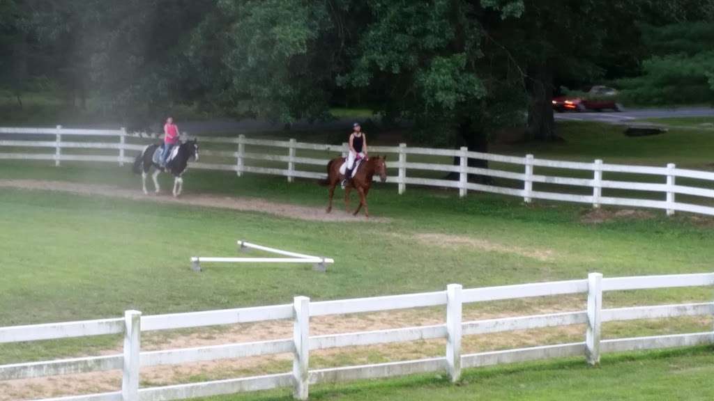 Wheaton Park Stables | 1101 Glenallan Ave, Wheaton-Glenmont, MD 20902, USA | Phone: (301) 622-2424