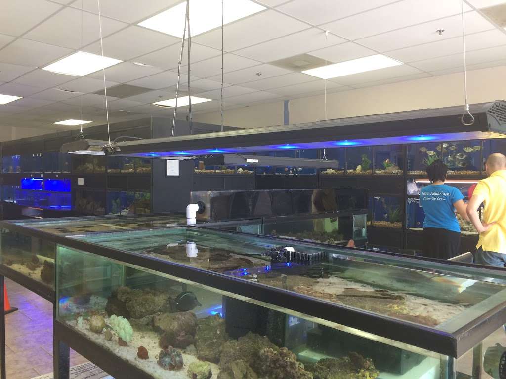 Aqua Aquarium | 8805 Jones Rd a101, Jersey Village, TX 77065 | Phone: (832) 768-7330