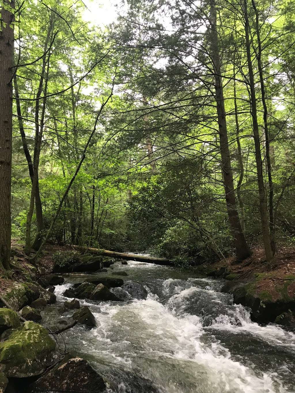 Switchback Railroad Trail | Switchback Railroad Trail, Jim Thorpe, PA 18229, USA