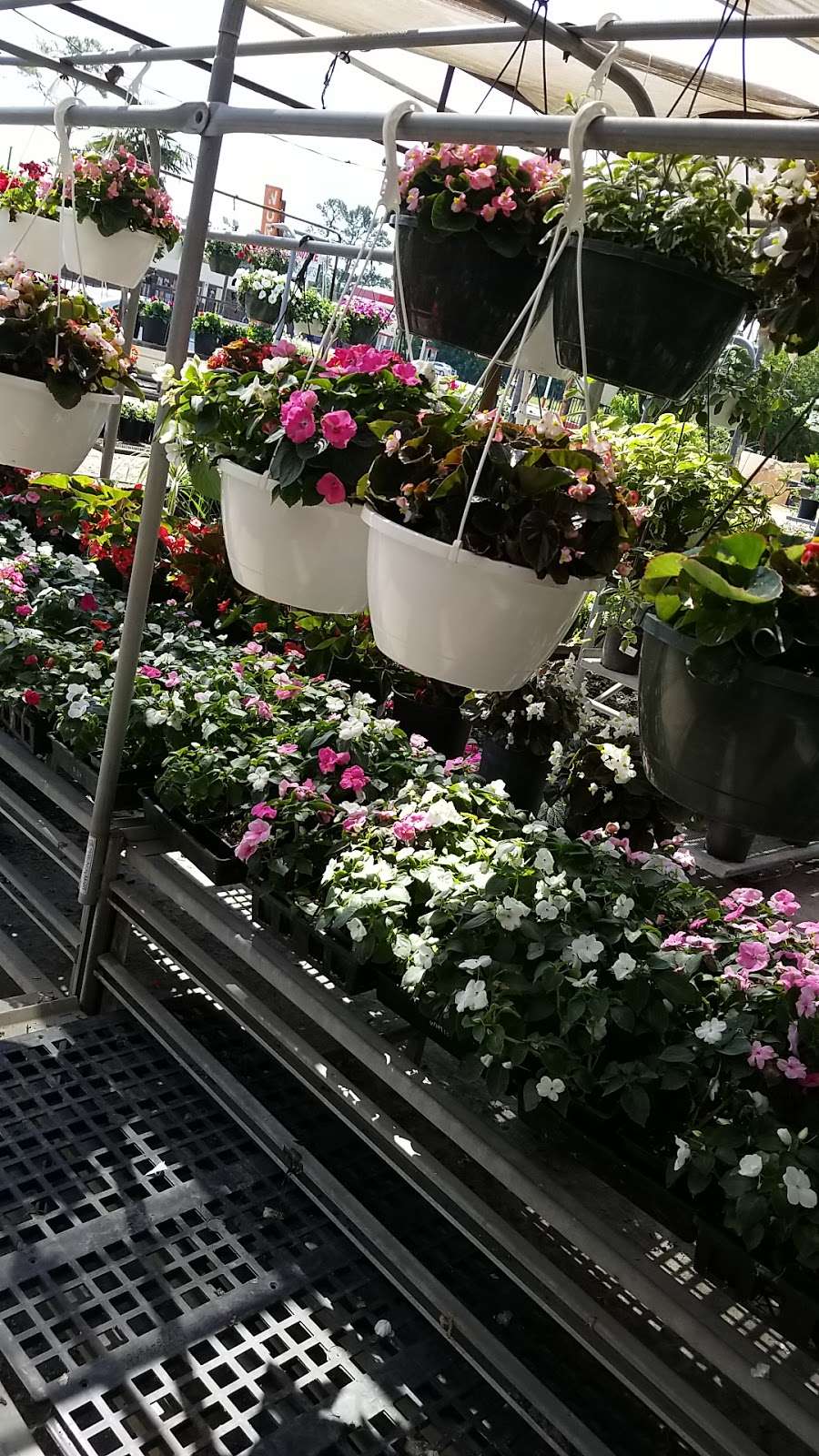 Kingway Garden Center | 8003 C E King Pkwy, Houston, TX 77044, USA | Phone: (281) 459-1176