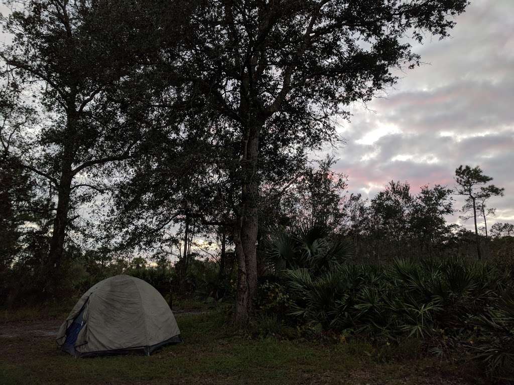 Camp Cozy | Apopka, FL 32712, USA