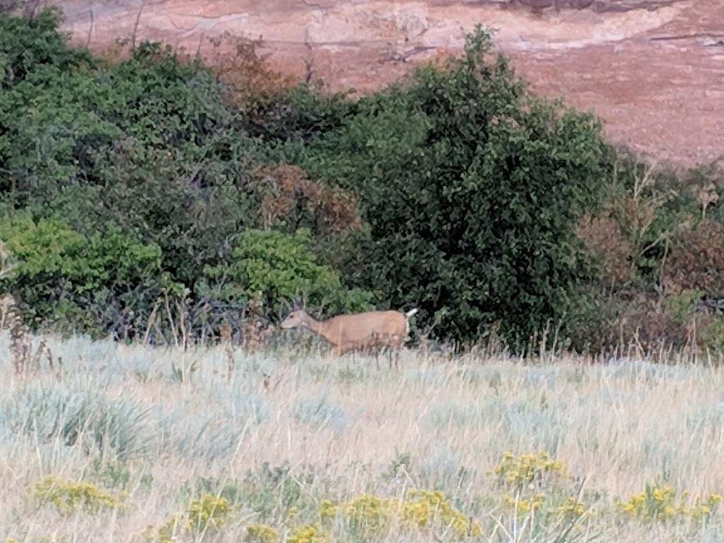 Trading Post Trail | Trading Post Trail, Golden, CO 80401, USA