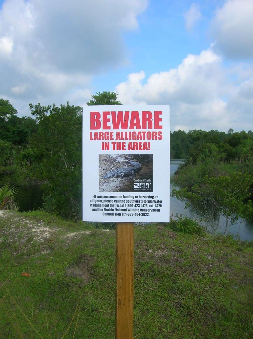 Green Swamp Wilderness Preserve - Hampton Tract | 18490 Rockridge Rd, Polk City, FL 33868, USA | Phone: (352) 796-7211 ext. 4470