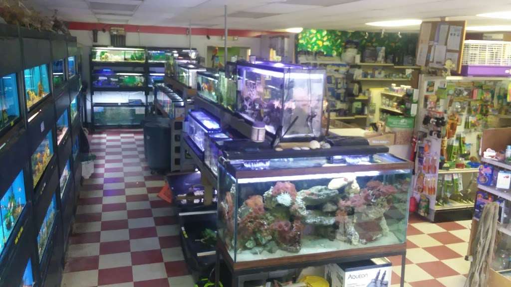 Gordons Pet Store | 13633 History Land Hwy Suite B, Warsaw, VA 22572, United States | Phone: (804) 333-3834