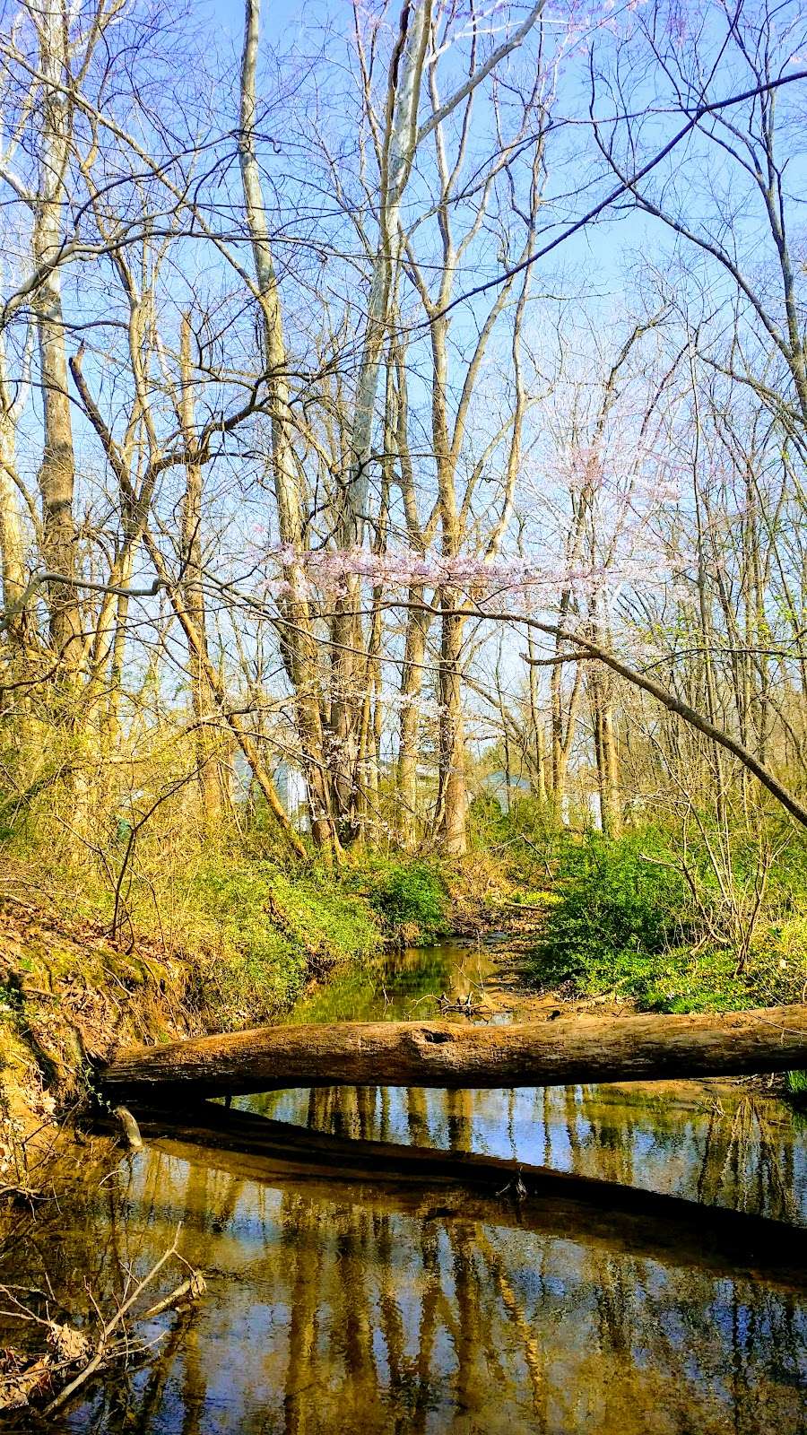 Valley Stream Christina | Newark, DE 19711, USA