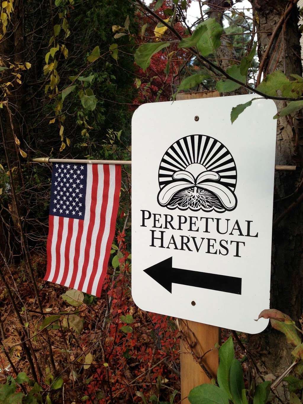 Perpetual Harvest Organic & Hydroponic Garden Supply | 273 Hanover St, Hanover, MA 02339, USA | Phone: (781) 829-6900