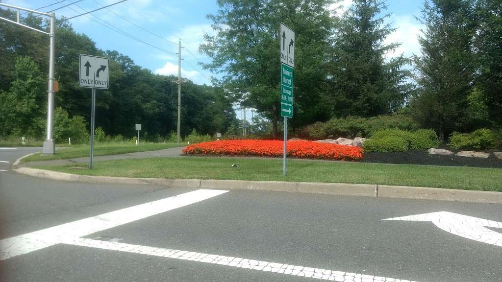 Duck Pond Park | 560 Meadow Rd, Princeton, NJ 08540, USA | Phone: (609) 799-2400