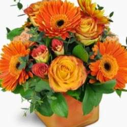 Clarks House of Flowers | 1875 Victory Blvd, Staten Island, NY 10314, USA | Phone: (718) 442-6453