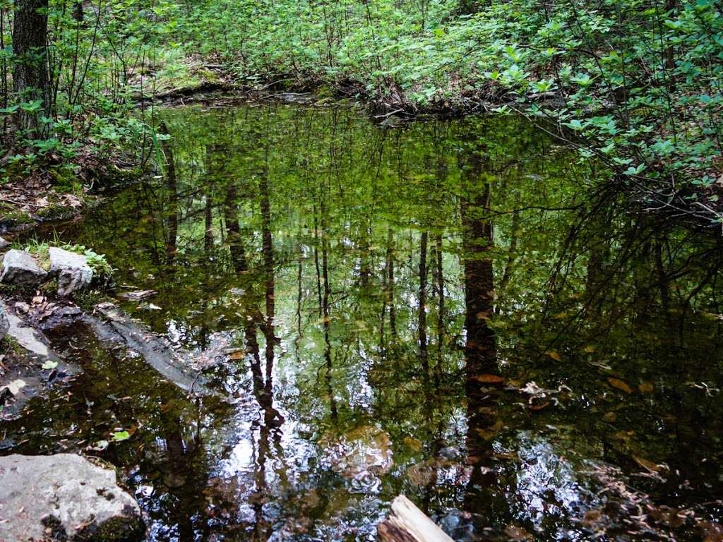 Hiking Terrace Pond Parking | Bearfort Waters, Hewitt, NJ 07421, USA