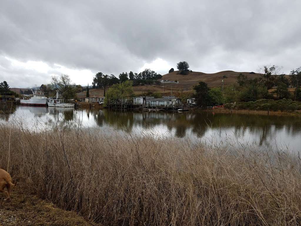 Shollenberger Park | Hours: Sunrise to Sunset, 1400 Cader Ln, Petaluma, CA 94954, USA | Phone: (707) 778-4303