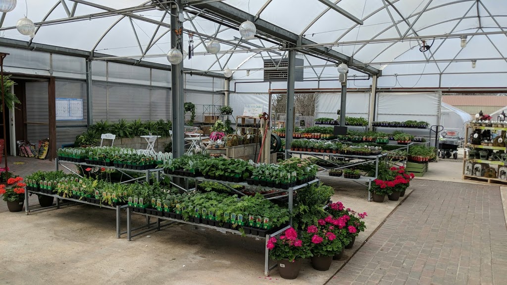 Sunshine Garden Center | 2850 Division St, Diamond, IL 60416, USA | Phone: (815) 458-6100