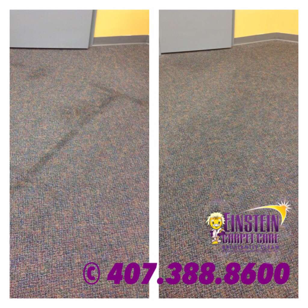 Einstein Carpet Care | 12257 Rebeccas Run Dr, Winter Garden, FL 34787 | Phone: (407) 388-8600