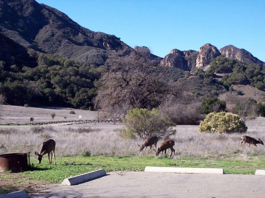 Malibu Creek State Park Trailhead SMHC | 1925 Las Virgenes Rd, Calabasas, CA 91301