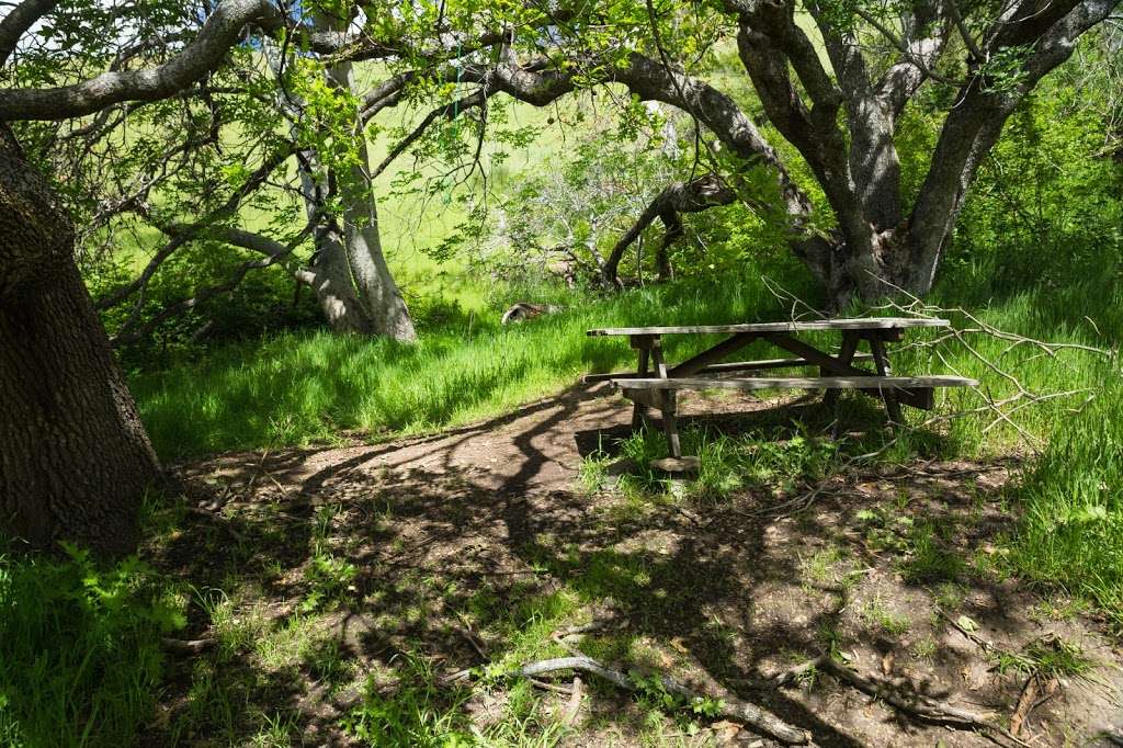 Sycamore Camp | Ohlone Wilderness Trail, Sunol, CA 94586, USA