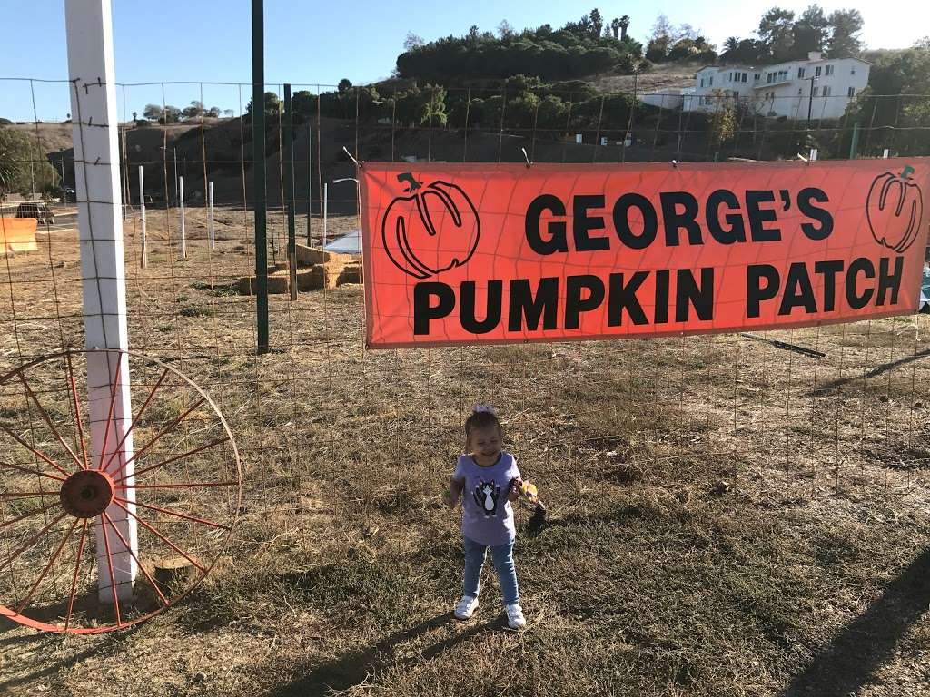 Georges pumpkin patch | 903 S Western Ave, Rancho Palos Verdes, CA 90275, USA