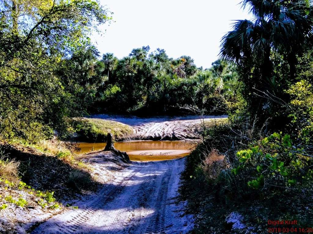 Fay Lake South lakeside Trail | 6310 Fay Blvd, Cocoa, FL 32927, USA | Phone: (321) 633-1904