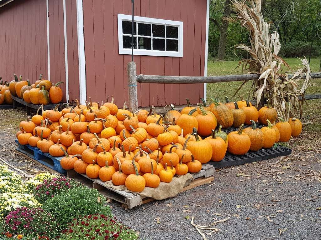 Melicks Town Farm | 351 NJ-28, Bridgewater, NJ 08807, USA | Phone: (908) 725-0225