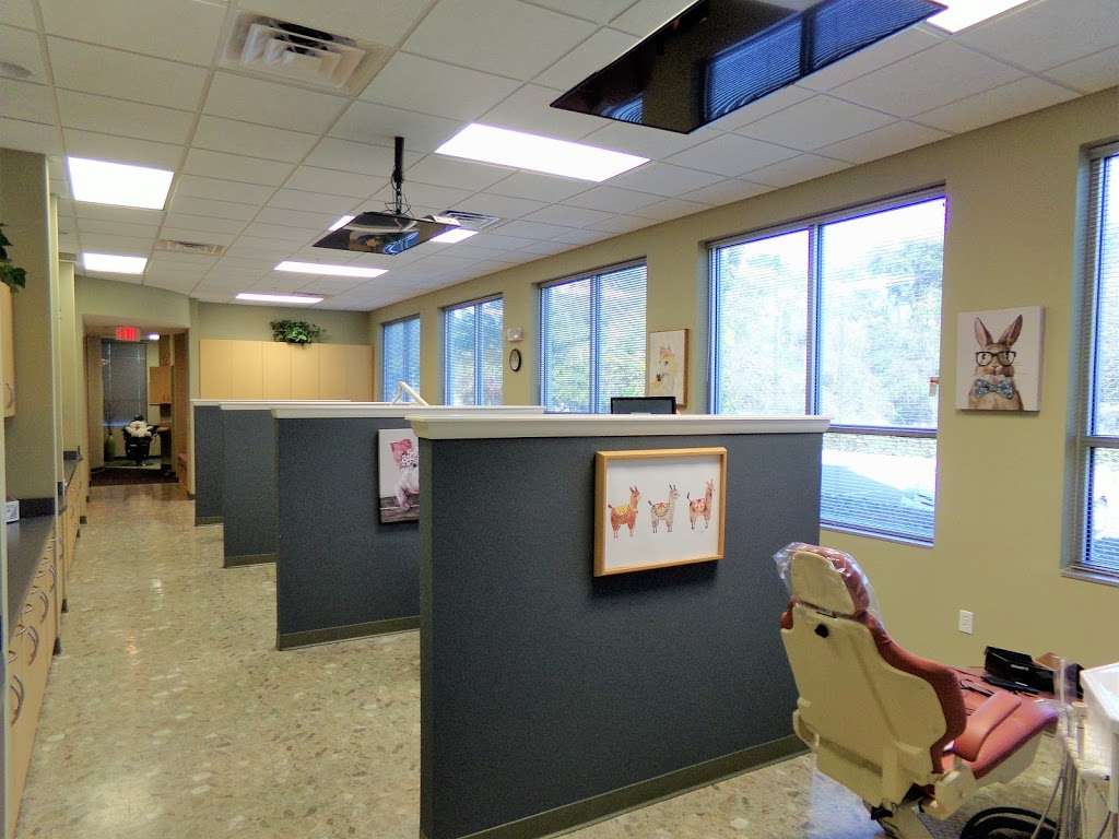 Clermont Kids Dentistry | 1655 FL-50 #101, Clermont, FL 34711, USA | Phone: (407) 205-1114