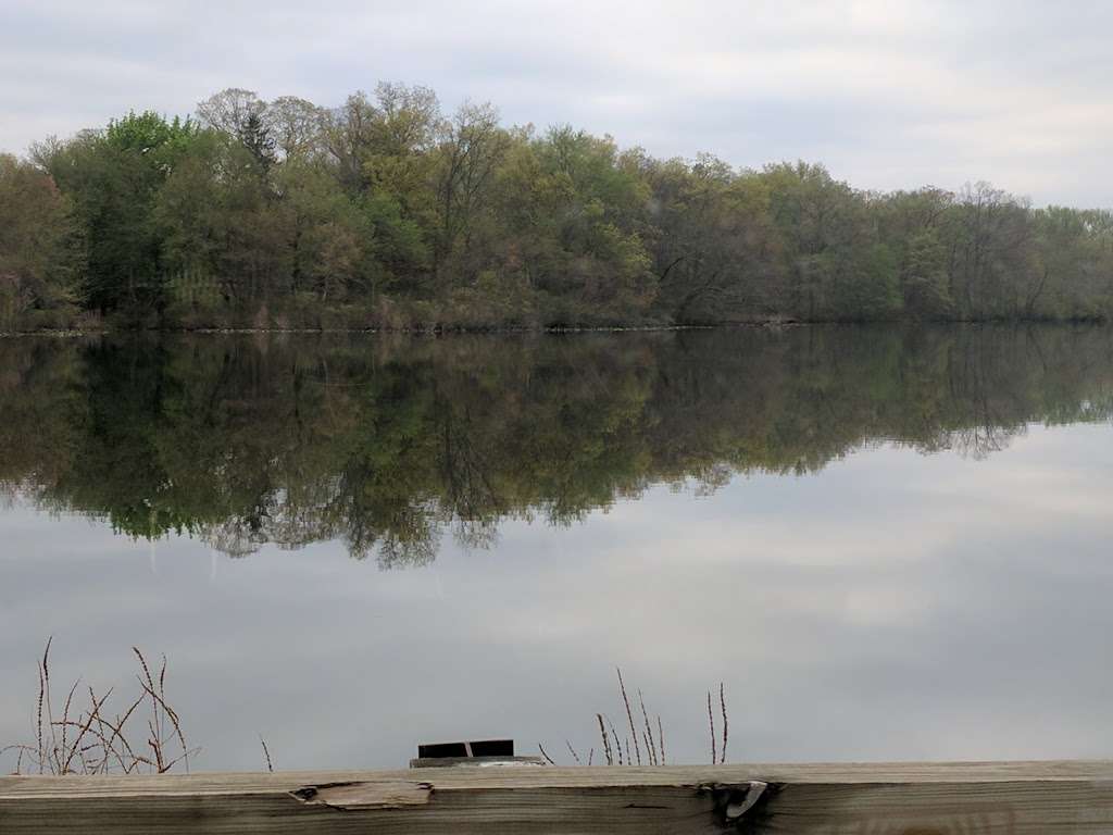 Rogers Preserve/Millstone River Preserve | Princeton Junction, NJ 08550