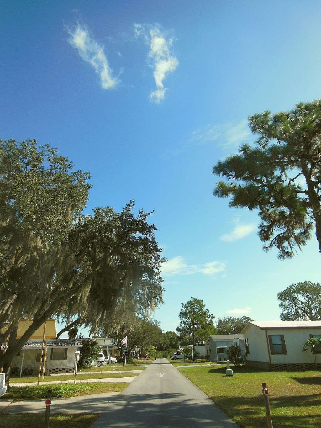 Pine Ridge Estates | 7405 N Socrum Loop Rd, Lakeland, FL 33809, USA | Phone: (863) 858-7177