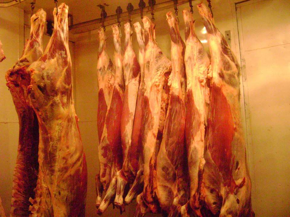 Saylors Custom Butchering | 11115 E 500 N, Grovertown, IN 46531, USA | Phone: (574) 867-6949