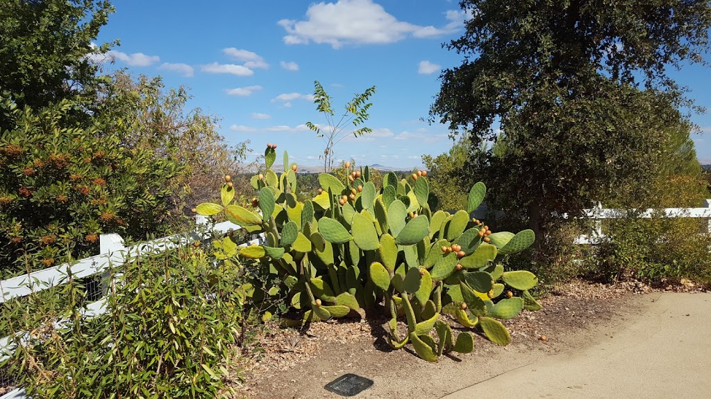 Alviso Adobe Community Park | 3465 Old Foothill Rd, Pleasanton, CA 94588 | Phone: (925) 931-3479