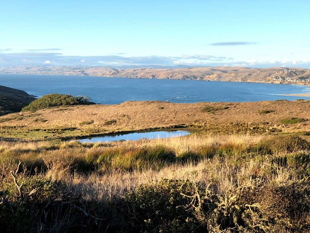 Elk Reserve | Tomales Point Trail, Inverness, CA 94937, USA