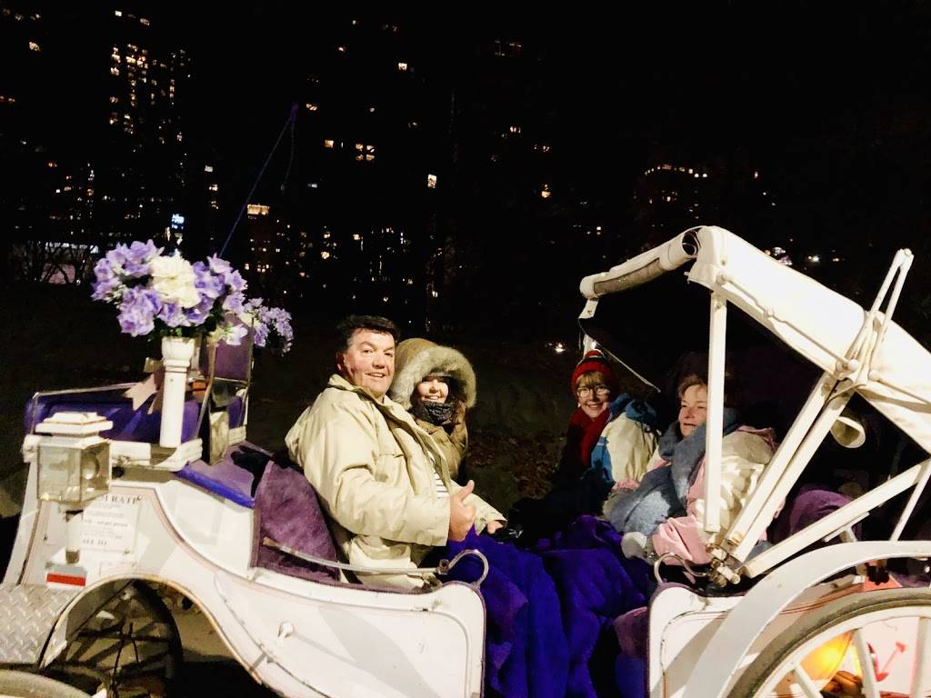 NYC Horse carriage services | 200 Central Park south West drive, entrance on, 7th Ave, New York, NY 10019, USA | Phone: (800) 813-0705