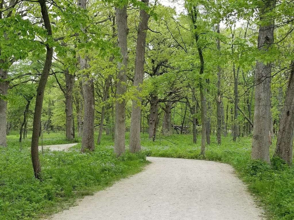 McKee Marsh at Blackwell Forest Peserve | Mack Rd, Warrenville, IL 60555, USA