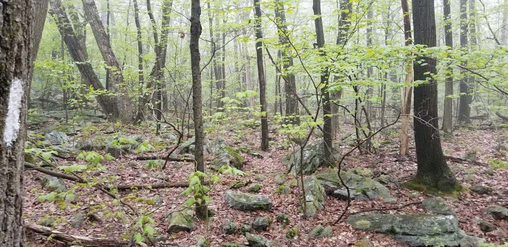 Appalachian Trail - Wolf Rocks | Valley View Dr, Bangor, PA 18013