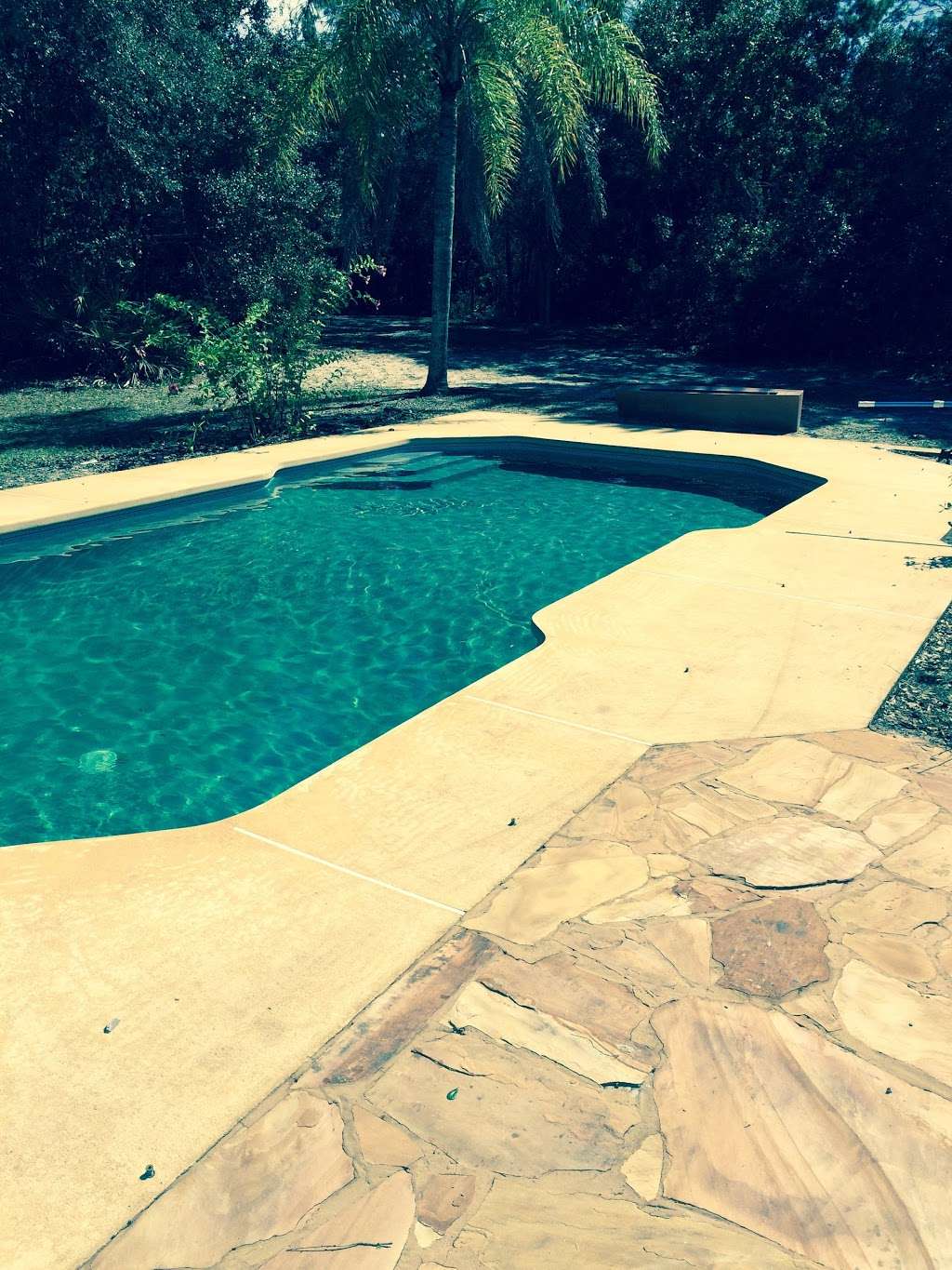 Palm Tree Pool Supply | 1949 County Rd 419 #1221, Oviedo, FL 32766, USA | Phone: (407) 454-2267