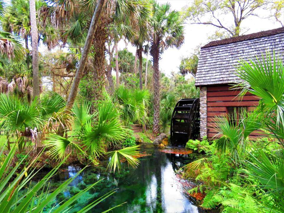 Juniper Springs Recreation Area | Florida, USA