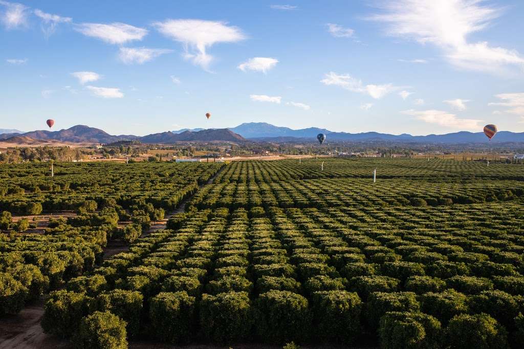 Uncorked Tours | 34225 Rancho California Rd, Temecula, CA 92591, USA | Phone: (888) 400-7641