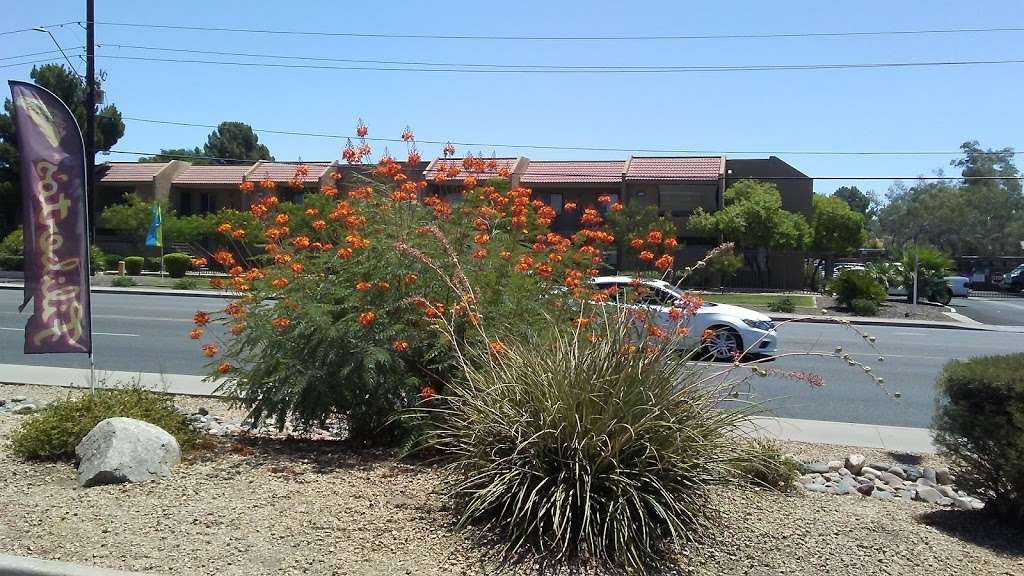 The Palms Shopping Center | 15620 N 35th Ave, Phoenix, AZ 85053, USA | Phone: (480) 214-9400 The Palms Shopping Center | 15620 N 35th Ave, Phoenix, AZ 85053, USA | Phone: (480) 214-9400