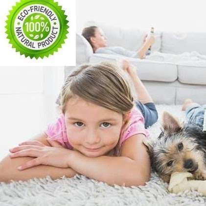 Alexandria Green Carpet & Rug Cleaning | 8494 Richmond Hwy #102, Alexandria, VA 22309 | Phone: (703) 672-3909