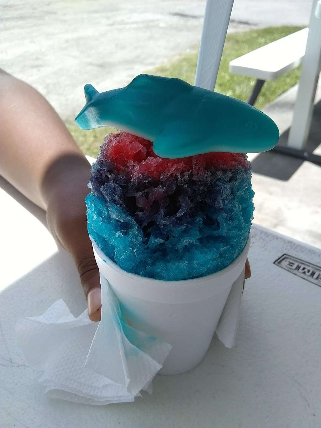 Pelicans SnowBalls | 1020 US-92, Auburndale, FL 33823, USA | Phone: (863) 514-9542